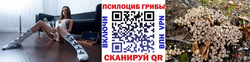 Галлюциногенные грибы Magic Shrooms Истра
